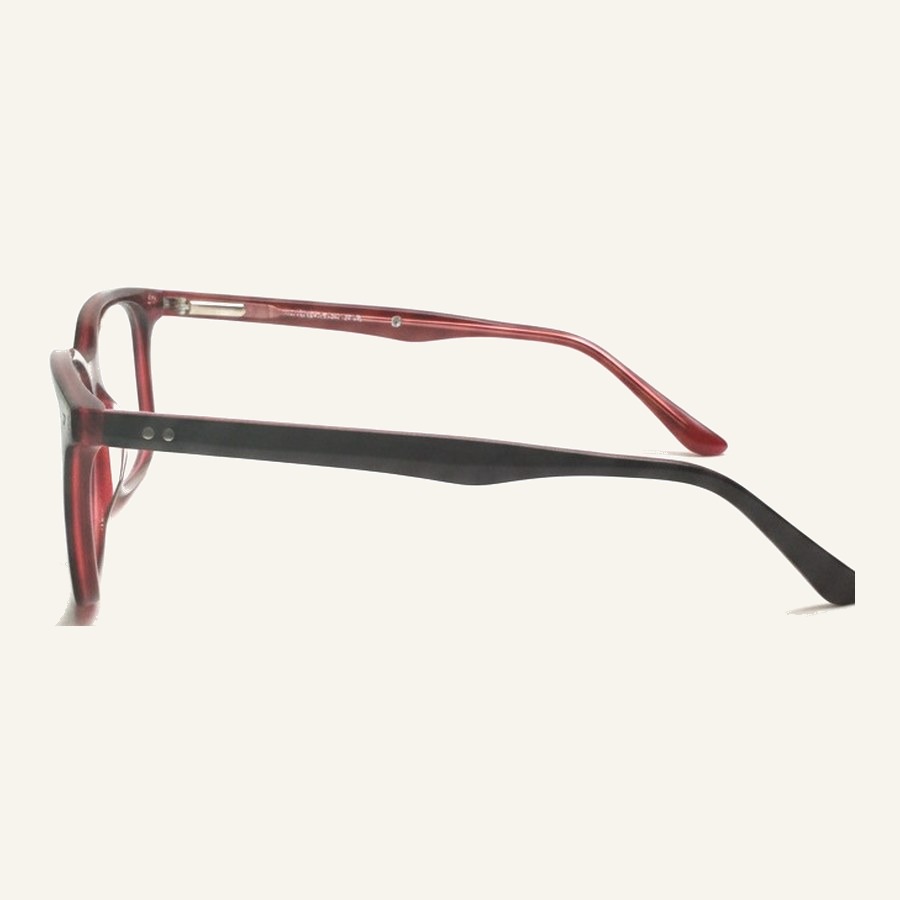 Monture 2073 S.Black+Trans.Red