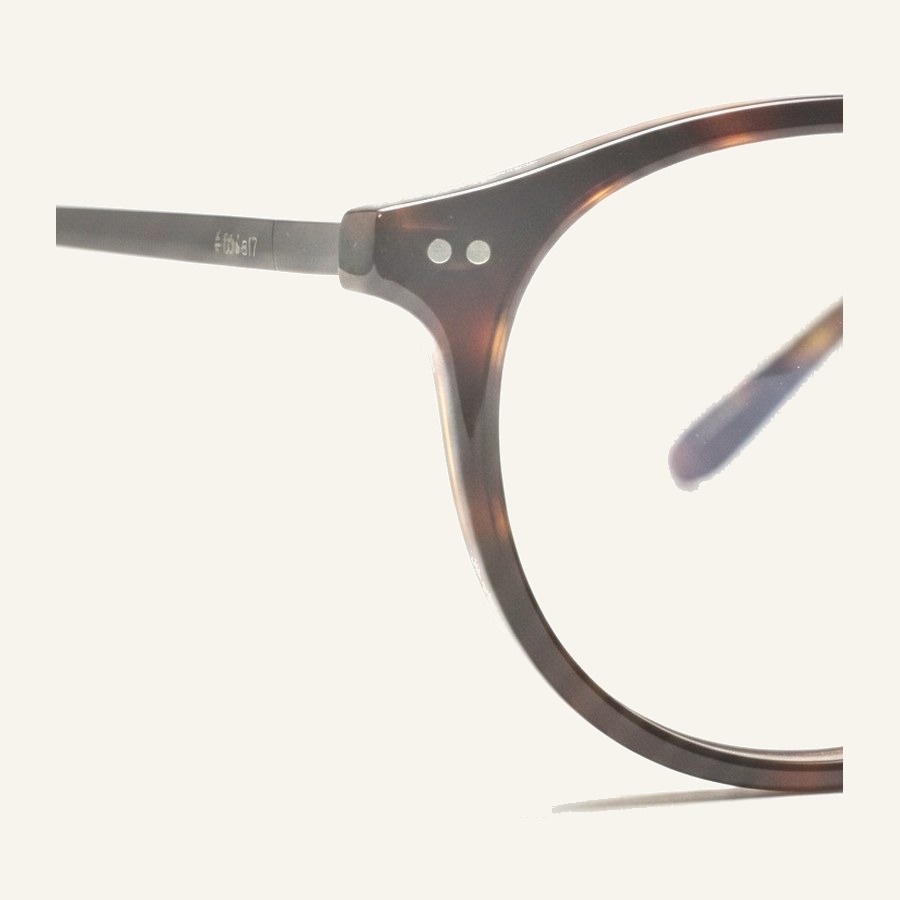 Monture 4020 C1
