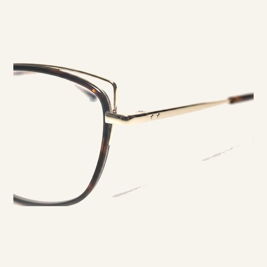 Monture 4152 C2