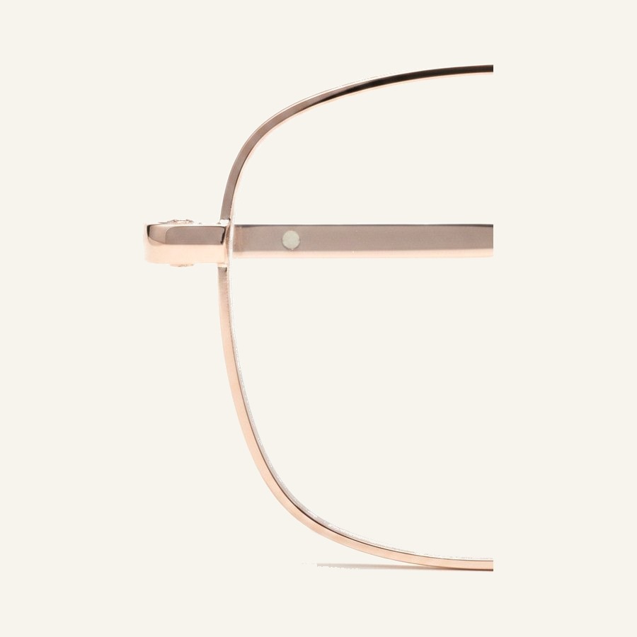 Monture 4301 C4