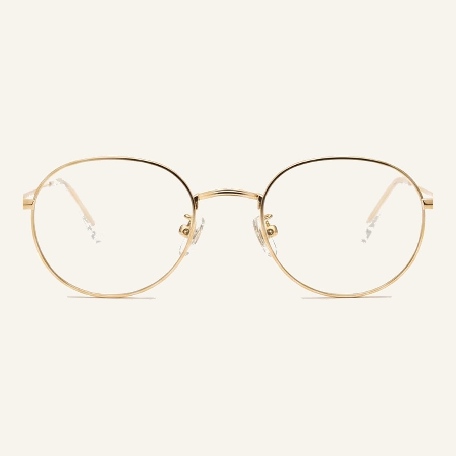 Monture 4308 C1