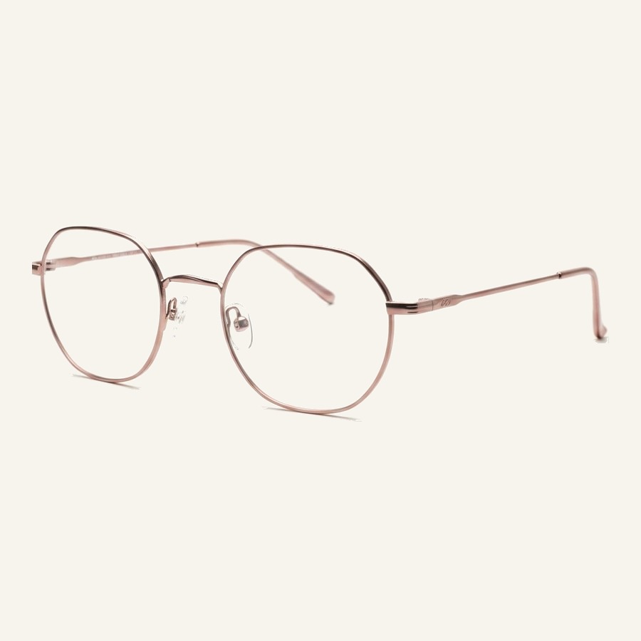 Monture 4308 C4