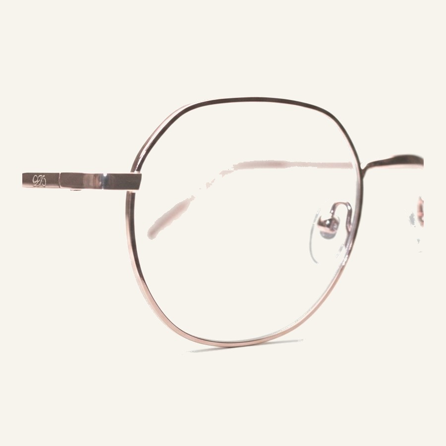 Monture 4308 C4