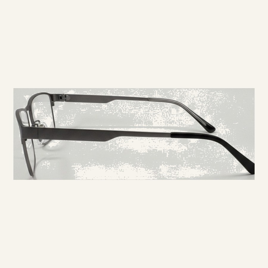 Monture 4401 C2