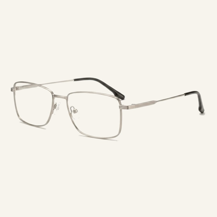 Monture 4454 S.Silver