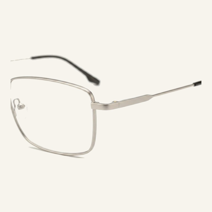 Monture 4454 S.Silver