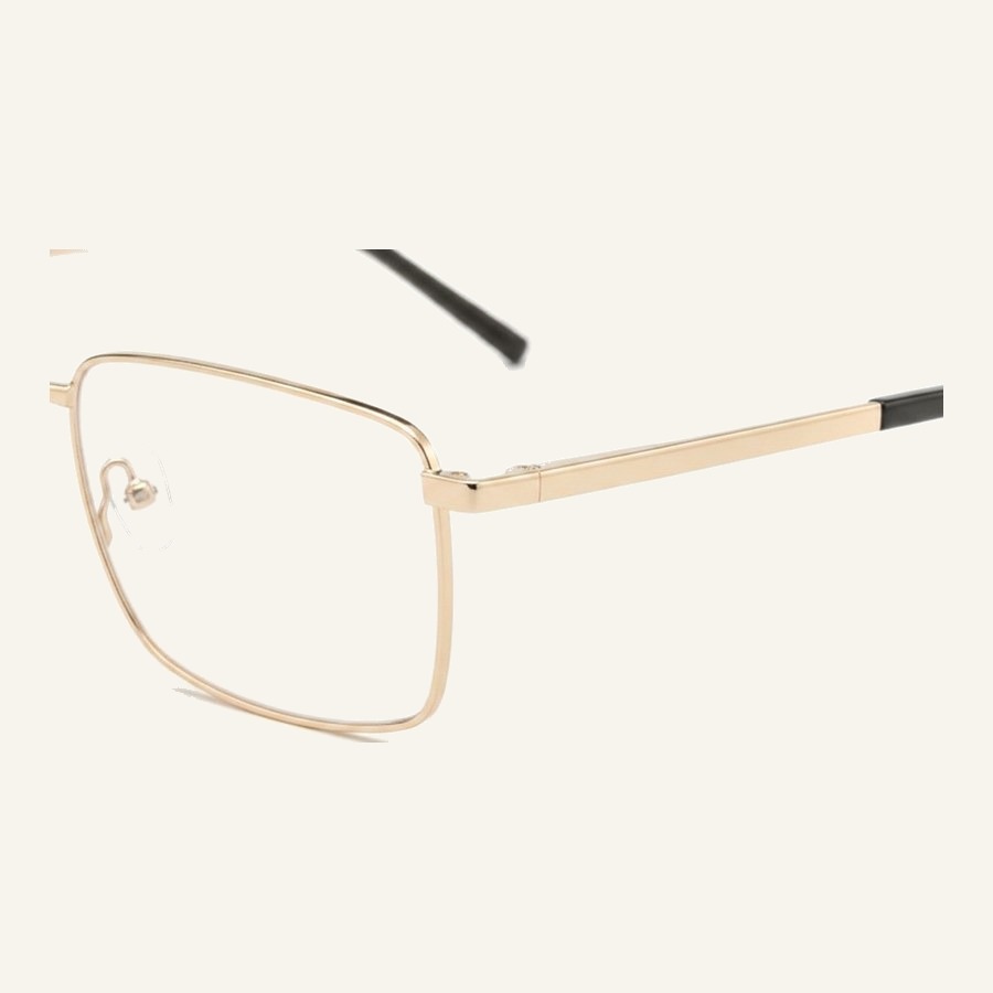 Monture 4543 S.Silver/S.Gold