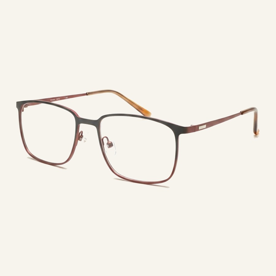 Monture 4561 C1