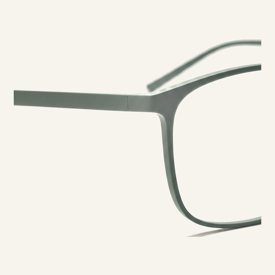 Monture 4561 C4