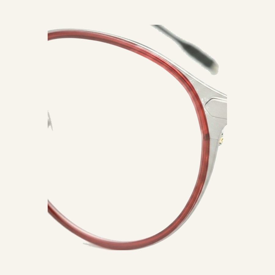 Monture 4666H Trans.Red/S.Gun