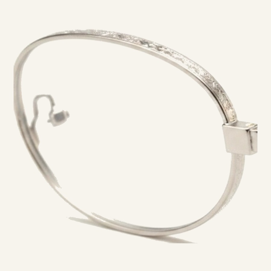 Monture 4740 S.Silver