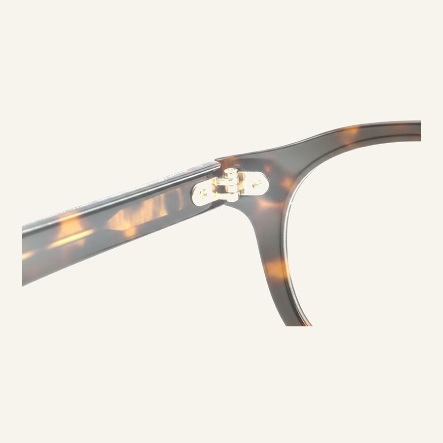 Monture F3363 C6