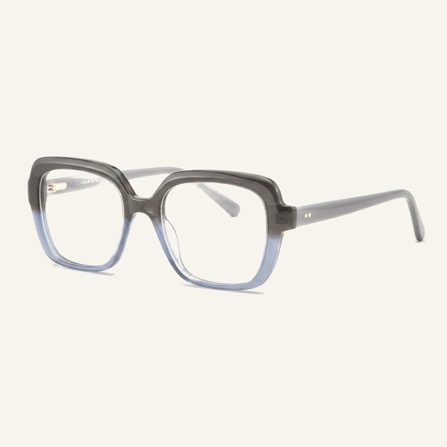 Monture FP2219 grey