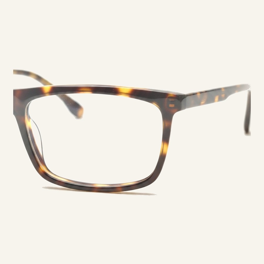 Monture R0096 C2