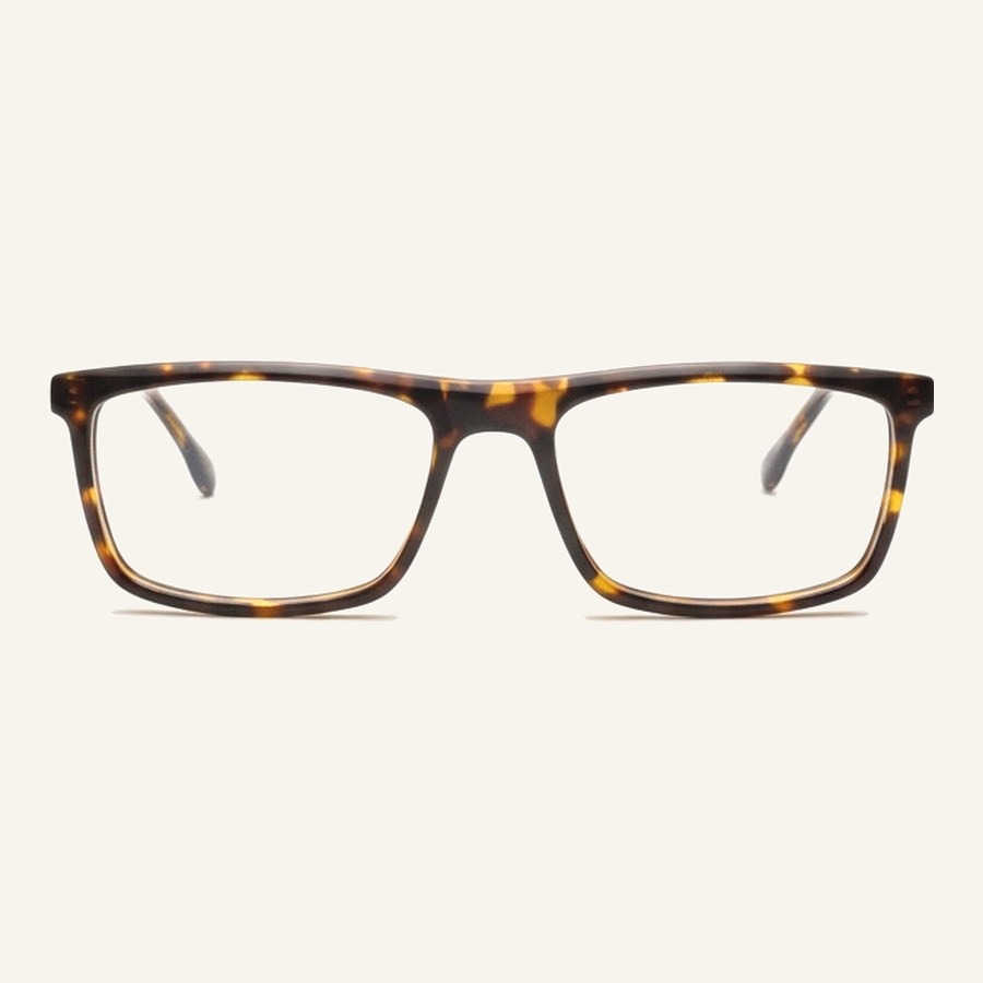 Monture R0096 C2